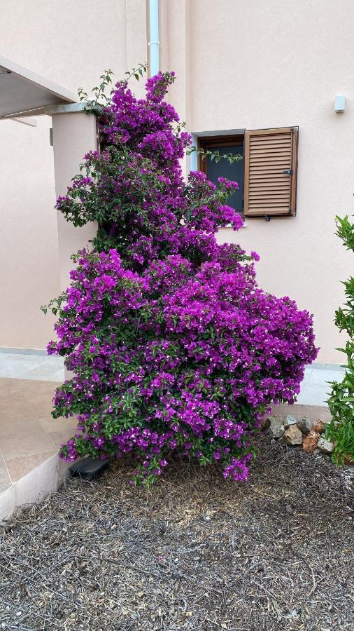 Lp Homestay Kokkino Chorio